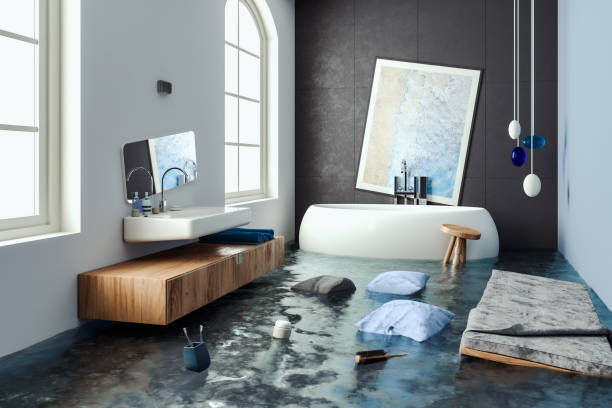 Best Water damage restoration near me  in Loomis, CA