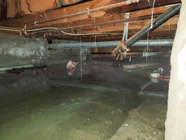 Best Fire Damage Restoration  in Loomis, CA