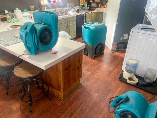 Best Local water damage restoration  in Loomis, CA