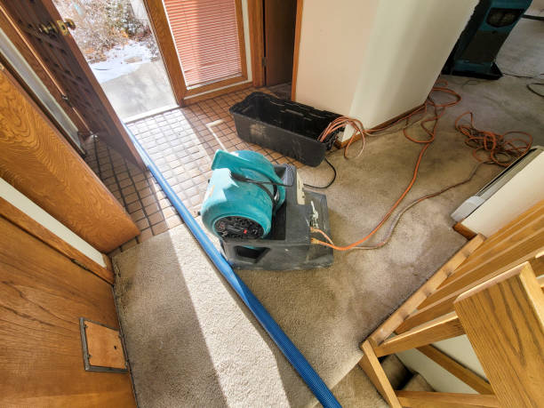 Best Professional water damage repair  in Loomis, CA