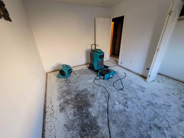 Best 24-hour water damage restoration  in Loomis, CA