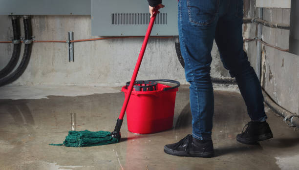 Best Water damage restoration specialists  in Loomis, CA