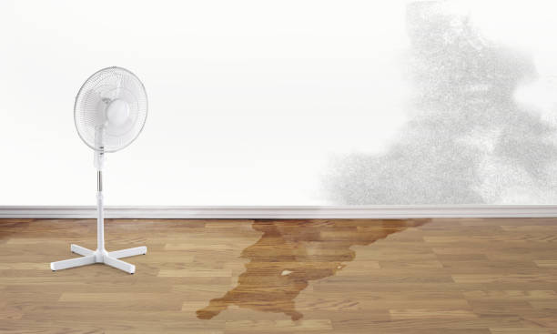 Reliable Loomis, CA Water damage restoration Solutions