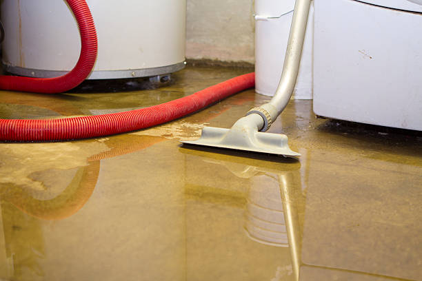Best Water damage cleanup near me  in Loomis, CA