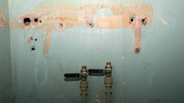 Best Water damage restoration cost  in Loomis, CA