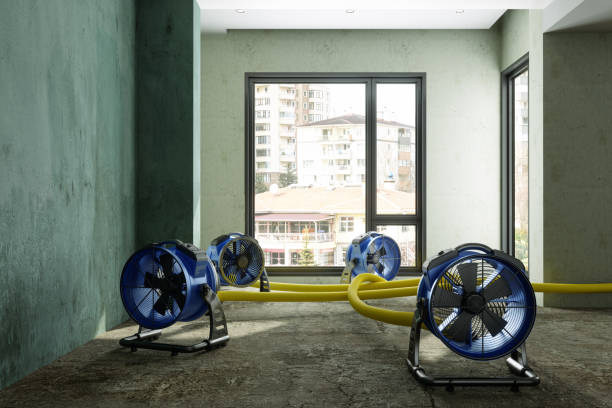 Best 24/7 water damage repair  in Loomis, CA
